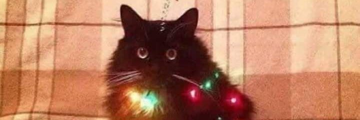 Julia_C_A's profile banner image
