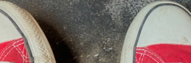 Steve Garbage's banner