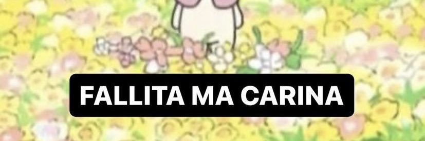 anycontpriv1's profile banner image