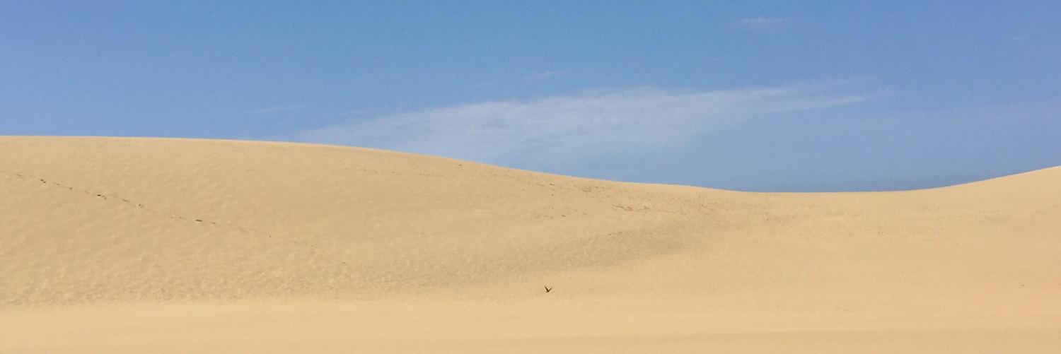 LSQ1993's profile banner image