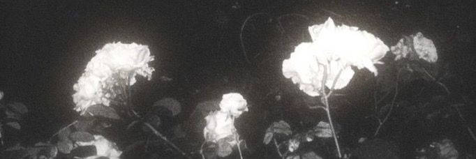 sensitive_cry4's profile banner image