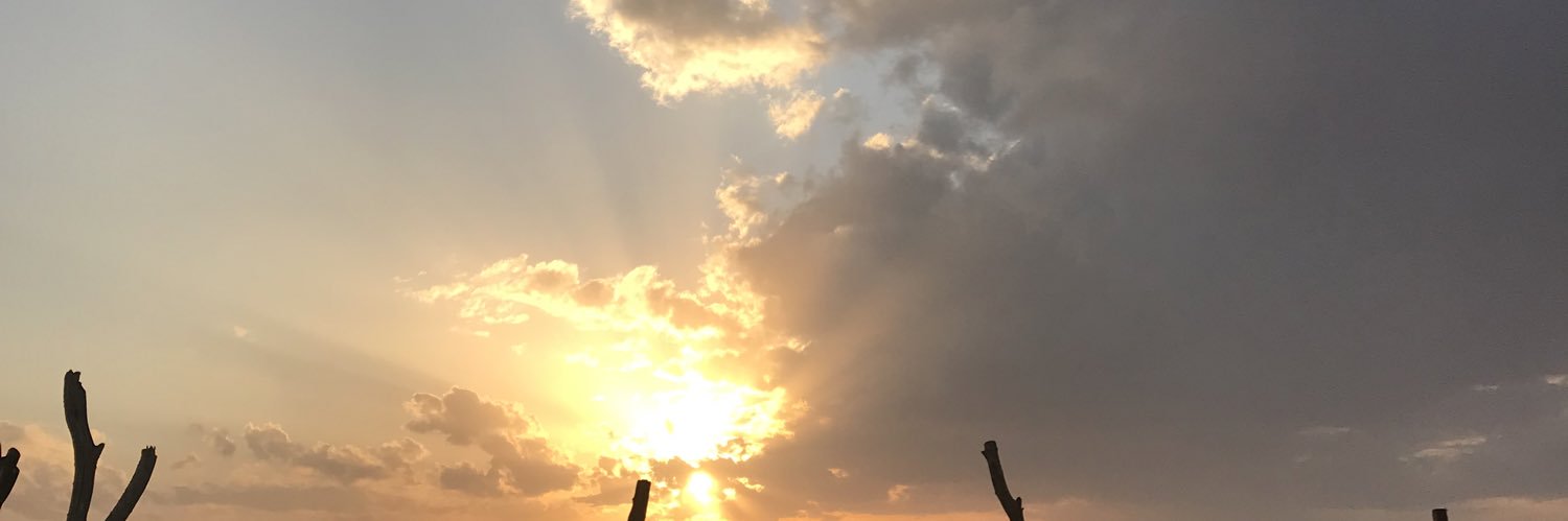 بحر طامي banner