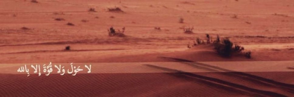 Zed banner