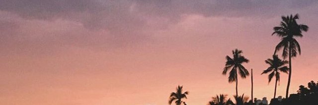 CynthiaAry's profile banner image