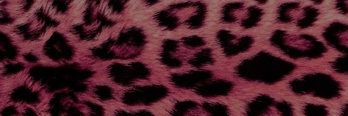 lophtase's profile banner image