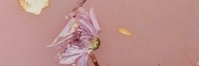 dumbscorpio_'s profile banner image