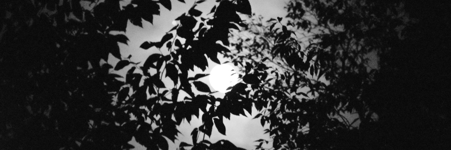 pjones59's profile banner image