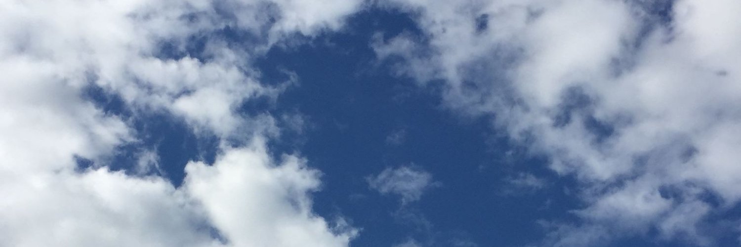 RachelDFante's profile banner image