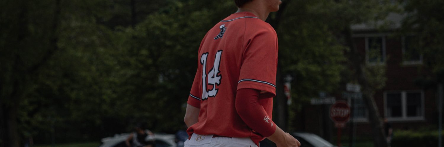 Wesley Lewis banner