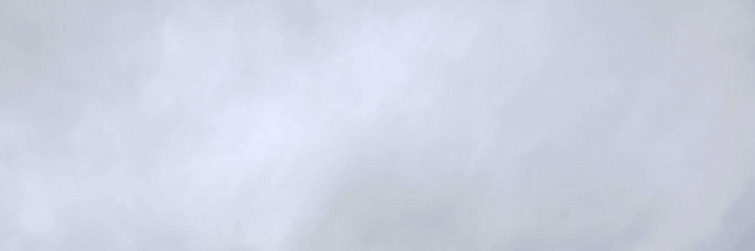 gus banner