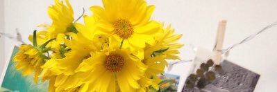 Oh_boy_412's profile banner image