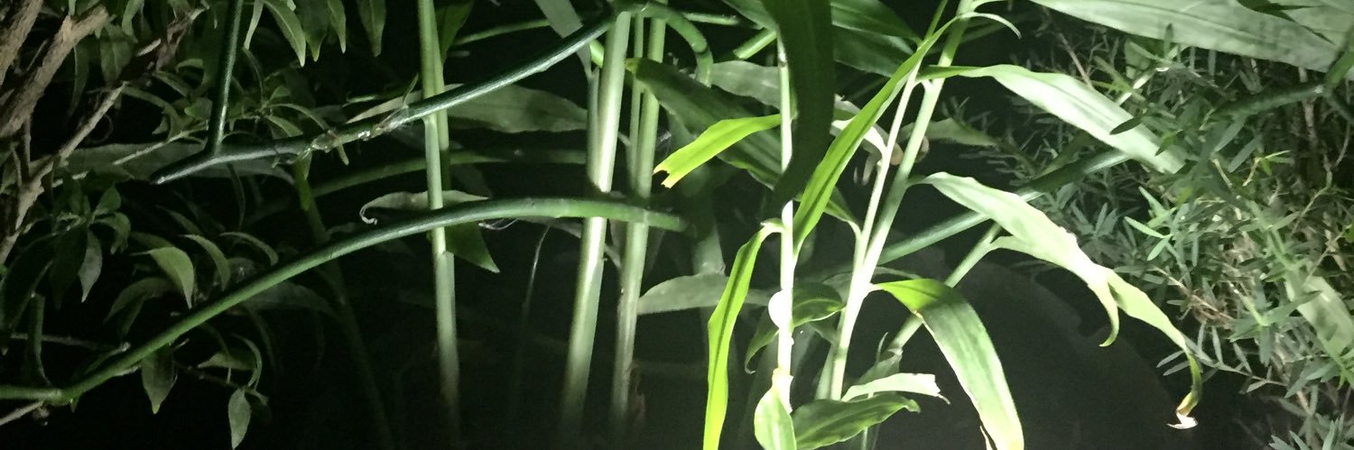 vielle143's profile banner image