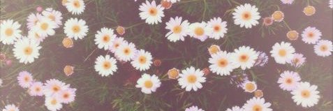 Lilllie's profile banner image