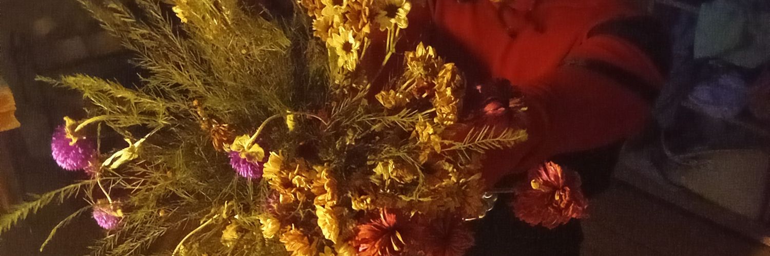 frutillaaaa2's profile banner image