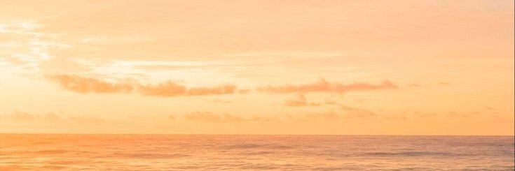 seaskied's profile banner image