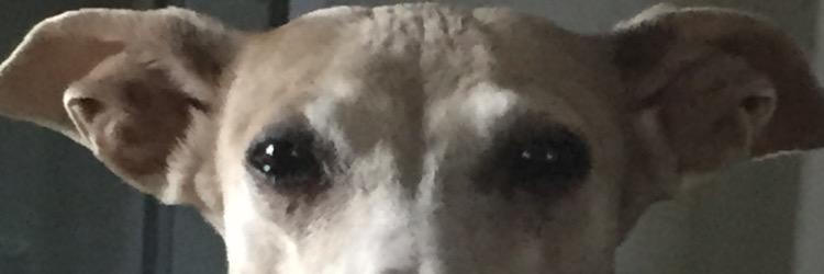helloimling's profile banner image