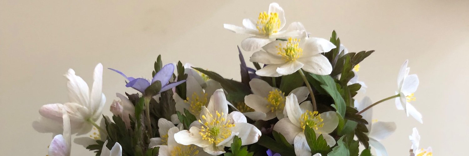 LEdstrand's profile banner image