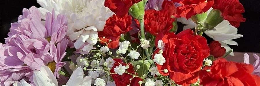 PrincessBell3_x's profile banner image