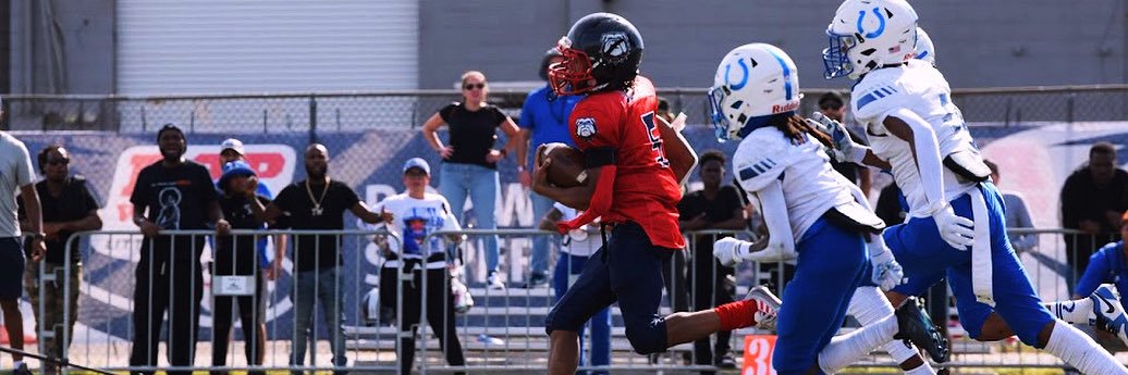 Amar’e Johnson banner