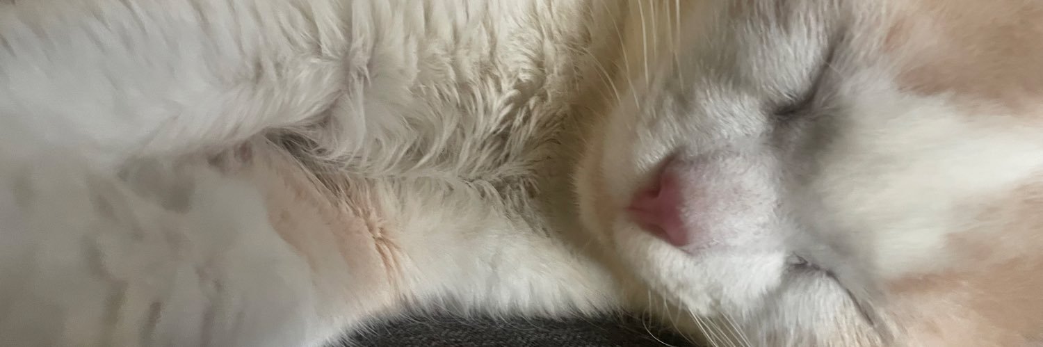 SayonaraAny's profile banner image