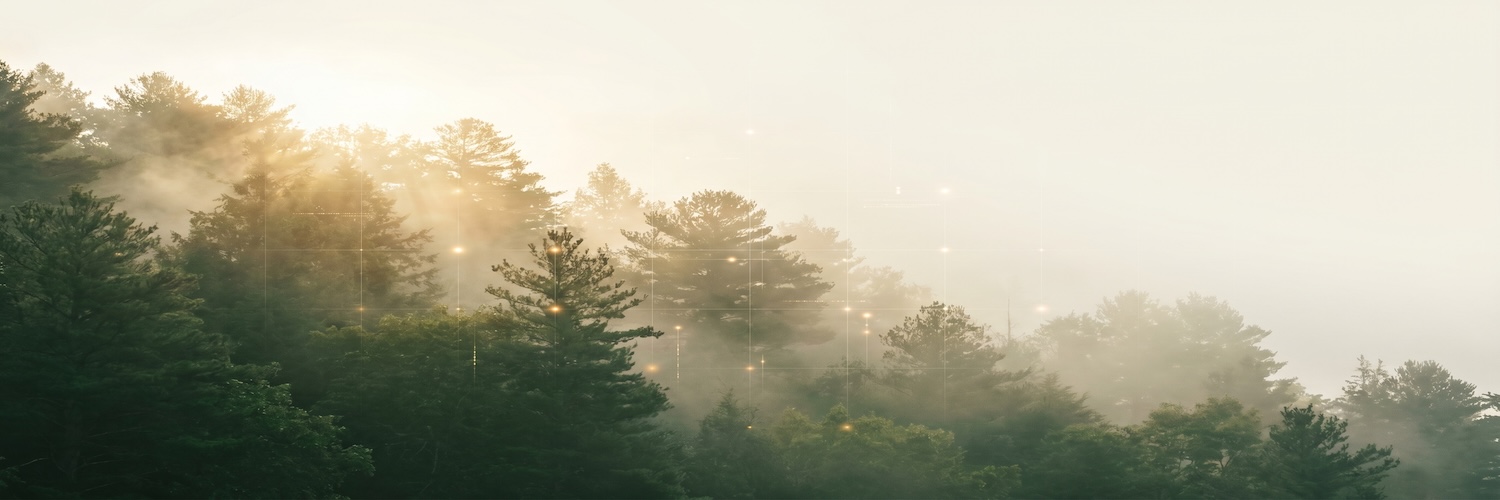AI__Forest's profile banner image