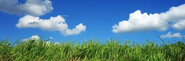 xz32f's profile banner image