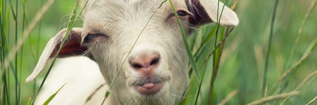 МС ПОХ banner