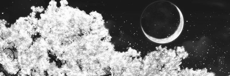 🍬 banner