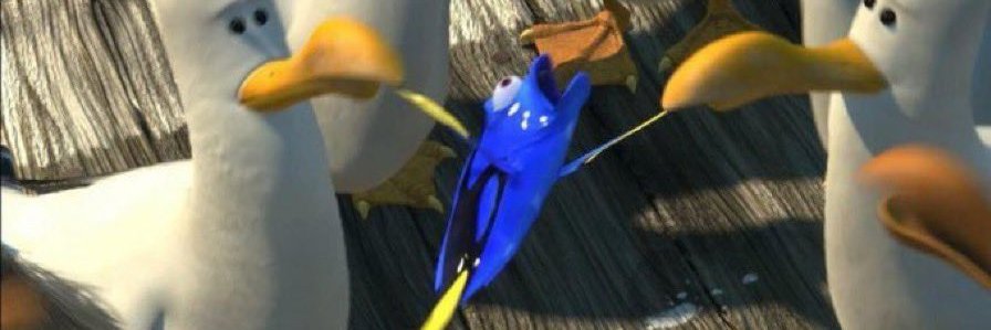 scallywag's banner