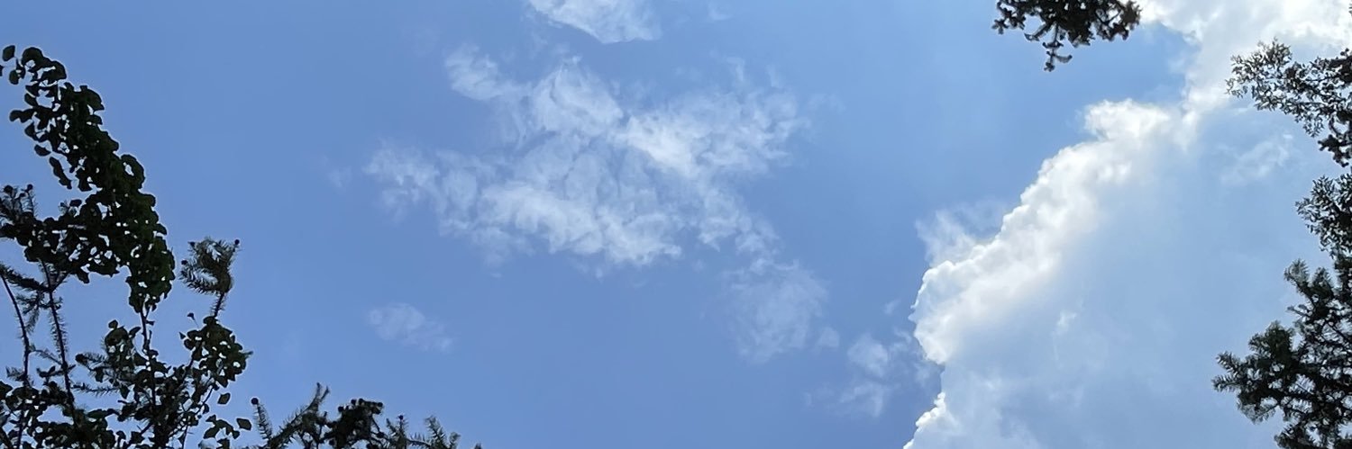 江戶川·F1 banner