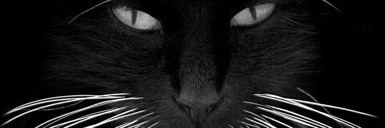 ander_tuti's profile banner image