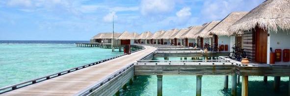 💕なちゅ💕 banner