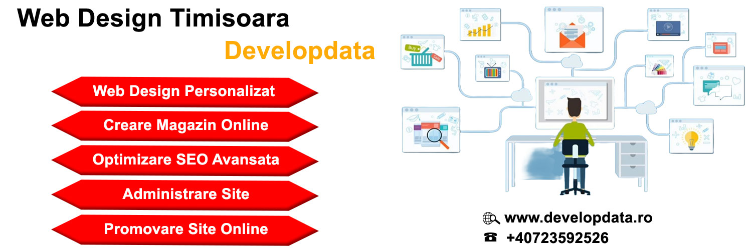 Developdata Web Design banner