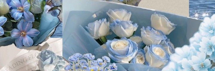 APP PREMIUM~JOKI banner