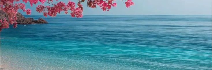 🌺⋆⁺₊˚ banner