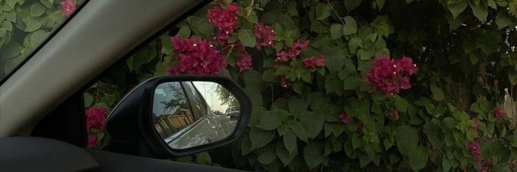 laylia_a's profile banner image