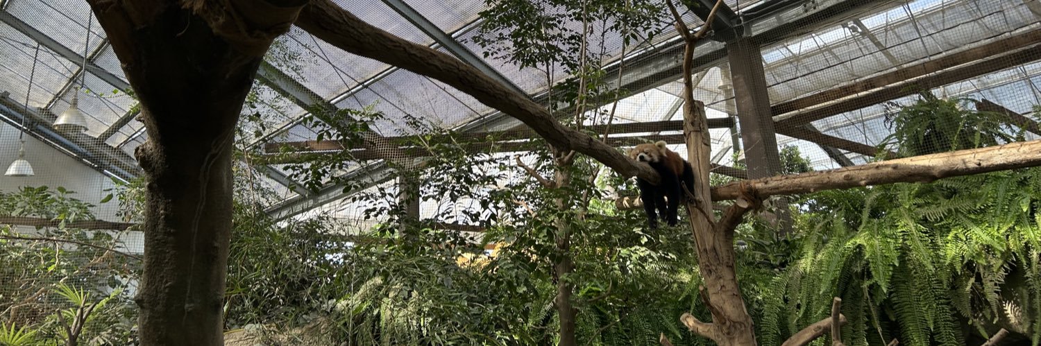 gorilla0123456's profile banner image