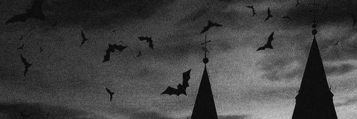 ✧ sins banner