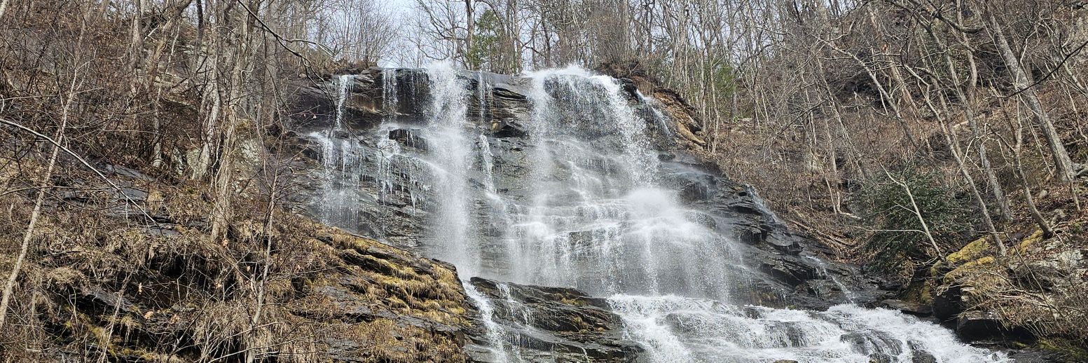 Jarrell Driver banner