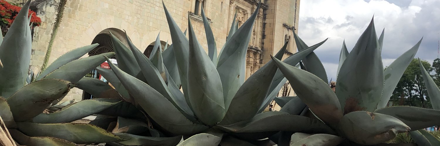 GONZALEZMX's profile banner image