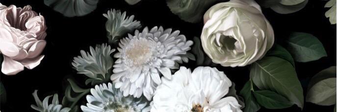 _alessandria's profile banner image