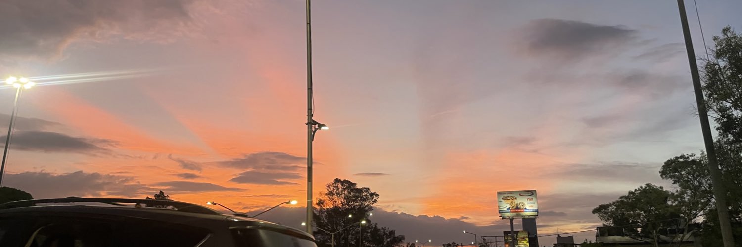 brujitachula_'s profile banner image
