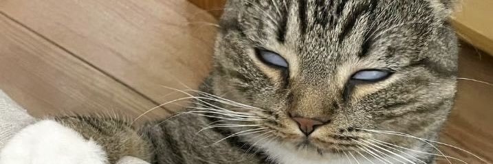 snoophyee's profile banner image
