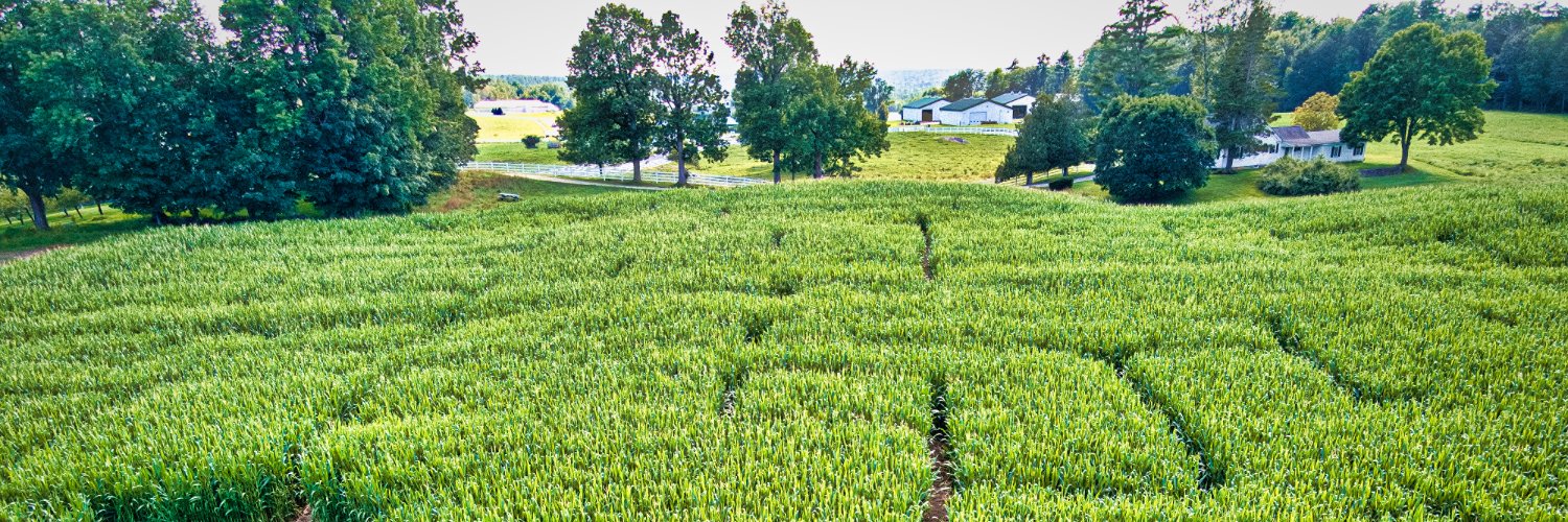 Pineland Farms banner