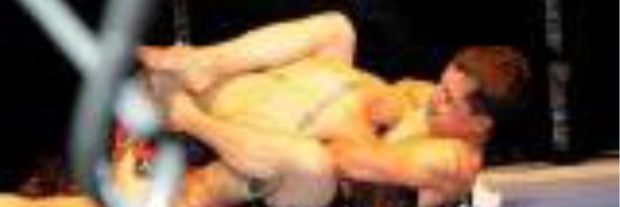 bantamphantom's profile banner image