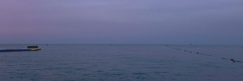 Одинокая Скворушка banner