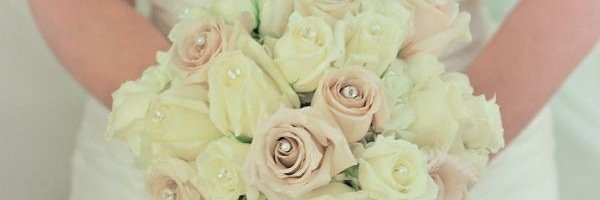 adalldoll's profile banner image