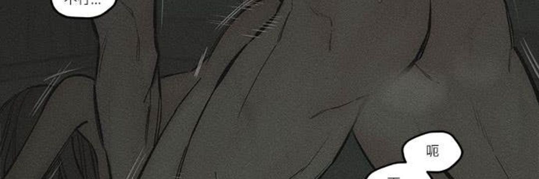 flash banner