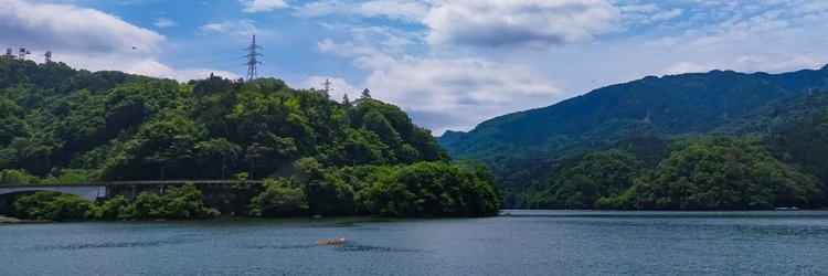 bluehickory's profile banner image