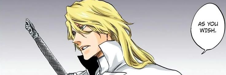 bleachg0at's profile banner image